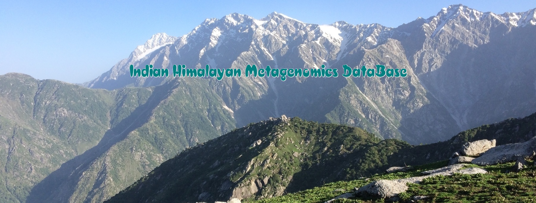 IHM Database
